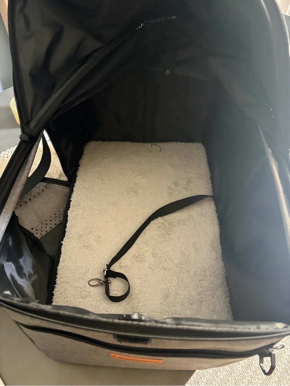 Cat carrier